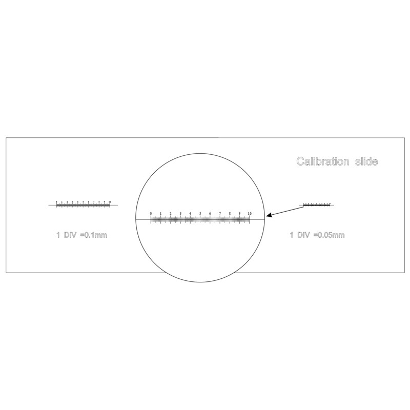 MAGUS Diapozitiv de microscop pentru calibrare CS3