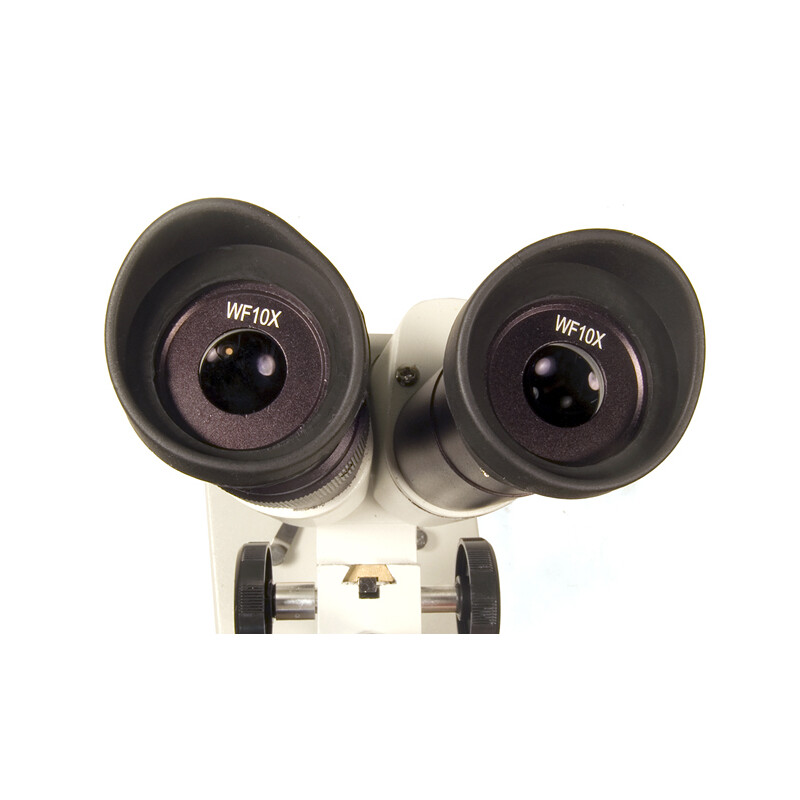 Levenhuk Microscopul stereoscopic 2ST 40x