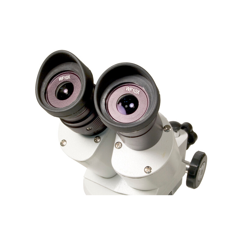 Levenhuk Microscopul stereoscopic 3ST 20-40x Halogen
