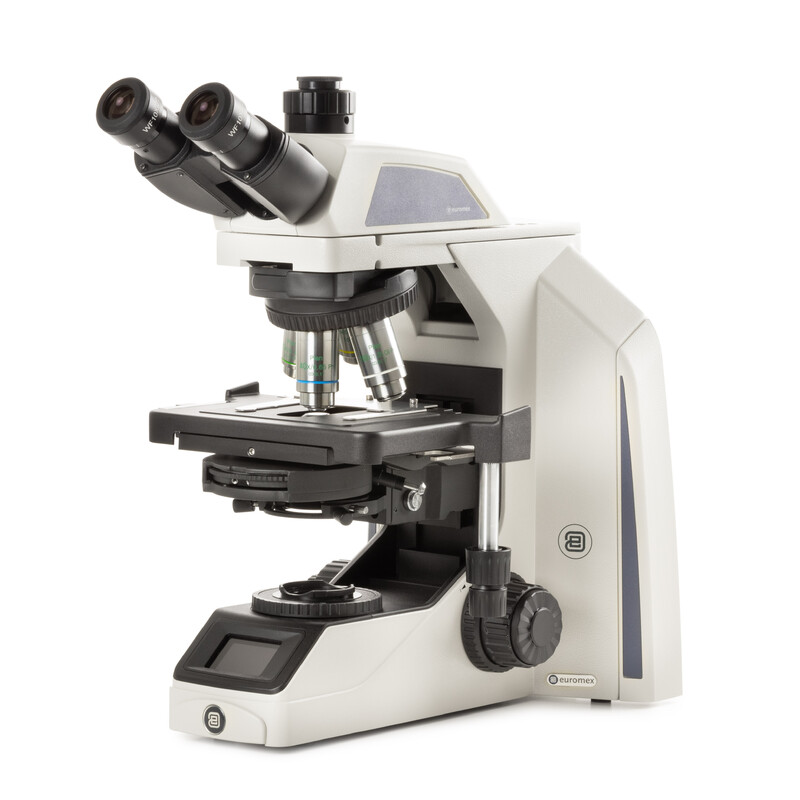 Euromex Microscop Achios-X Observer, AX.1152-PLPHi, bino, EWF 10x/22 mm, plat, PH, PLPHi 10/20/S40/S100x oil IOS, 3 W NeoLED™