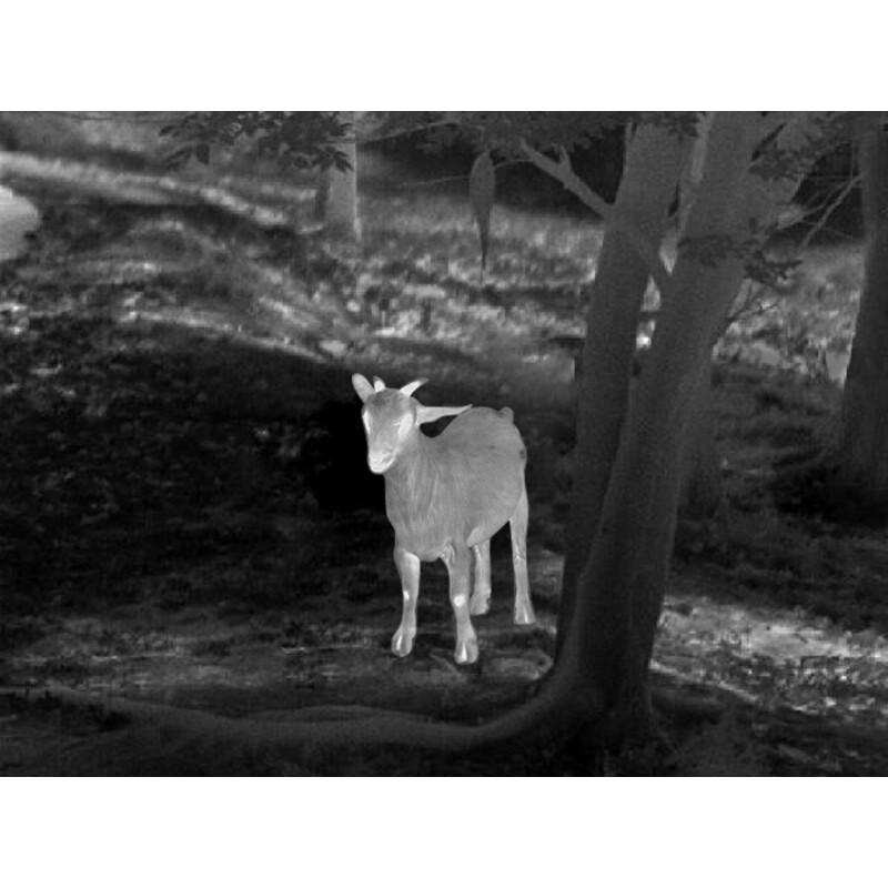 Guide Camera de termoviziune TD433L