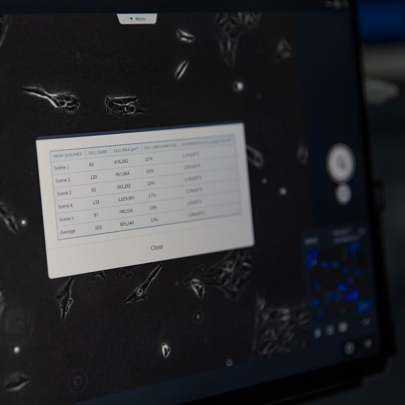 ZEISS Software Modul Labscope AI Cell Counting Chamber DLic