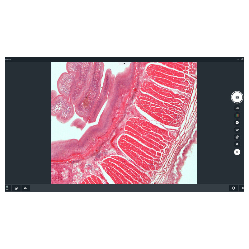 ZEISS Software Modul Labscope AI Cell Counting Chamber DLic