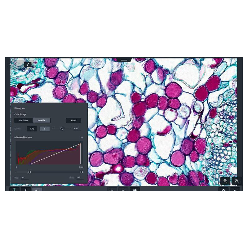 ZEISS Software Modul Labscope AI Cell Counting Chamber DLic