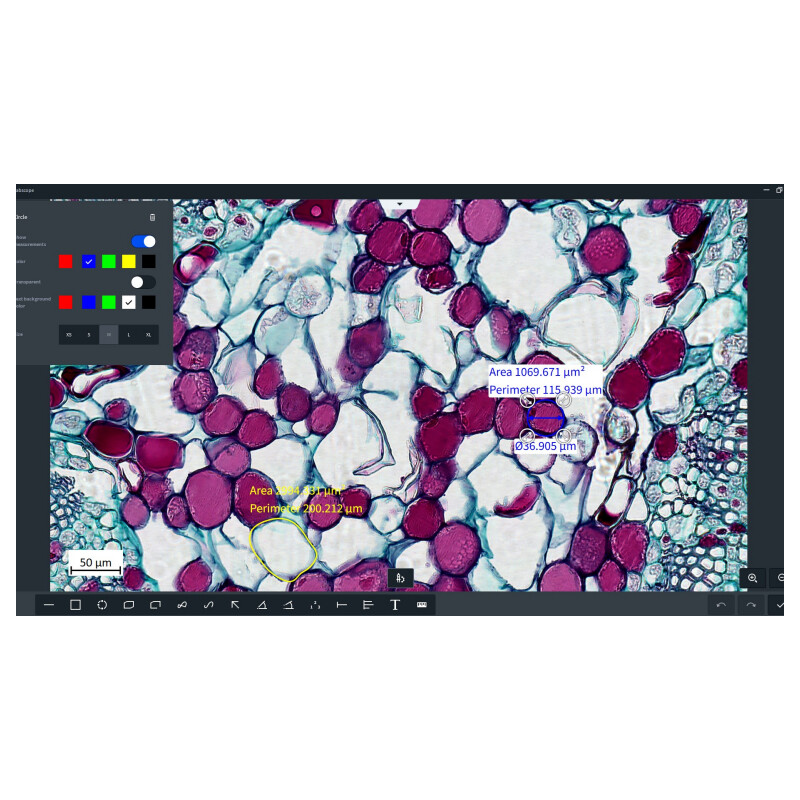 ZEISS Software Modul Labscope AI Cell Counting Chamber DLic