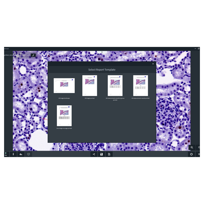 ZEISS Software Labscope 4.5 (Windows) - Descărcare