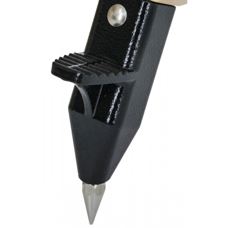 Berlebach Trepied UNI 8 Skywatcher WAVE-100i