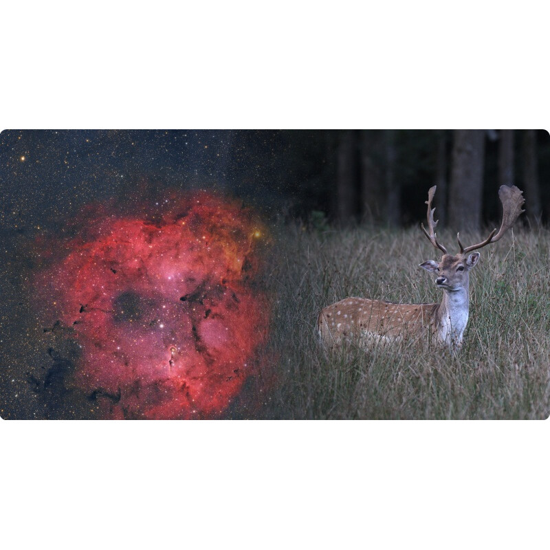 ToupTek Refractor apochromat HOPE D60 60/280 f/4.66