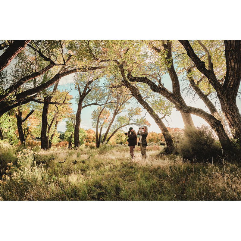 Swarovski Instrument terestru AT Balance 18-45x65